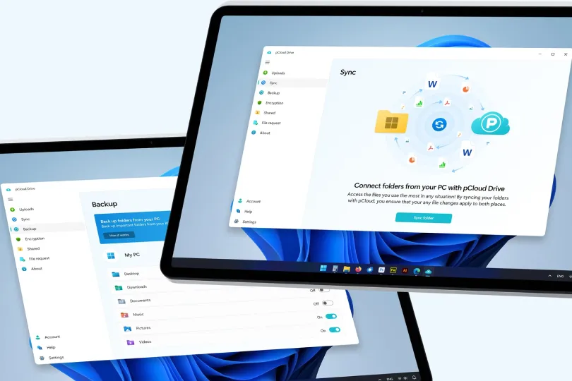 pCloud cloud storage service SEO case study by Online Marketing Gurus