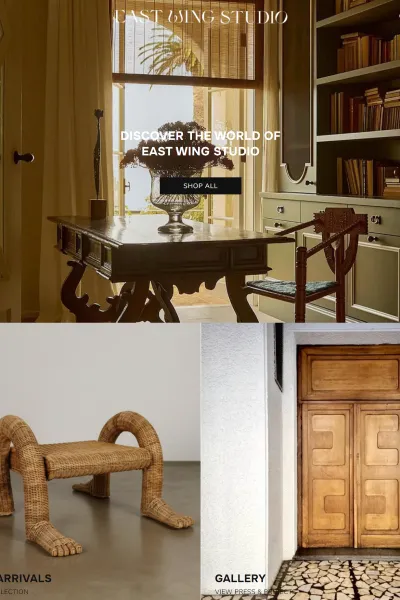 East Wing Studio website design example with the discover the world hero image, new arrivals and gallery sections